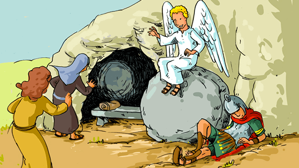 Les Saisons De L Annee